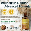 propolis-extract-drops---propolis-tinctu-5.jpg