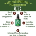 raw-methyl-b12-liquid-drops-sublingual-f-2.jpg