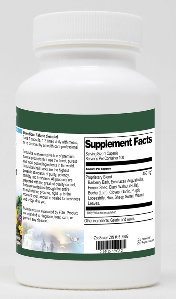 echinacea-sheep-sorrel-garlic-and-more-c-2.jpg