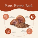 real-mushrooms-reishi-capsules-for-human-4.jpg