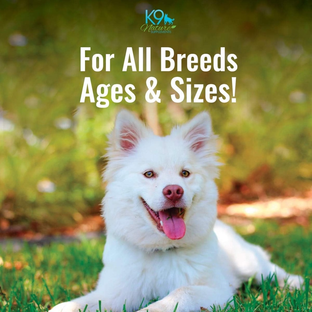 all-clear---allergy-supplement-for-dogs--5.jpg