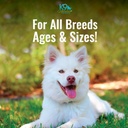 all-clear---allergy-supplement-for-dogs--5.jpg