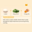 bhks-folic-acid-before-during-after-preg-3.jpg