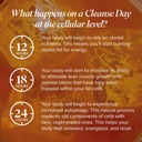 isagenix-cleanse-for-life---powder-suppl-3.jpg