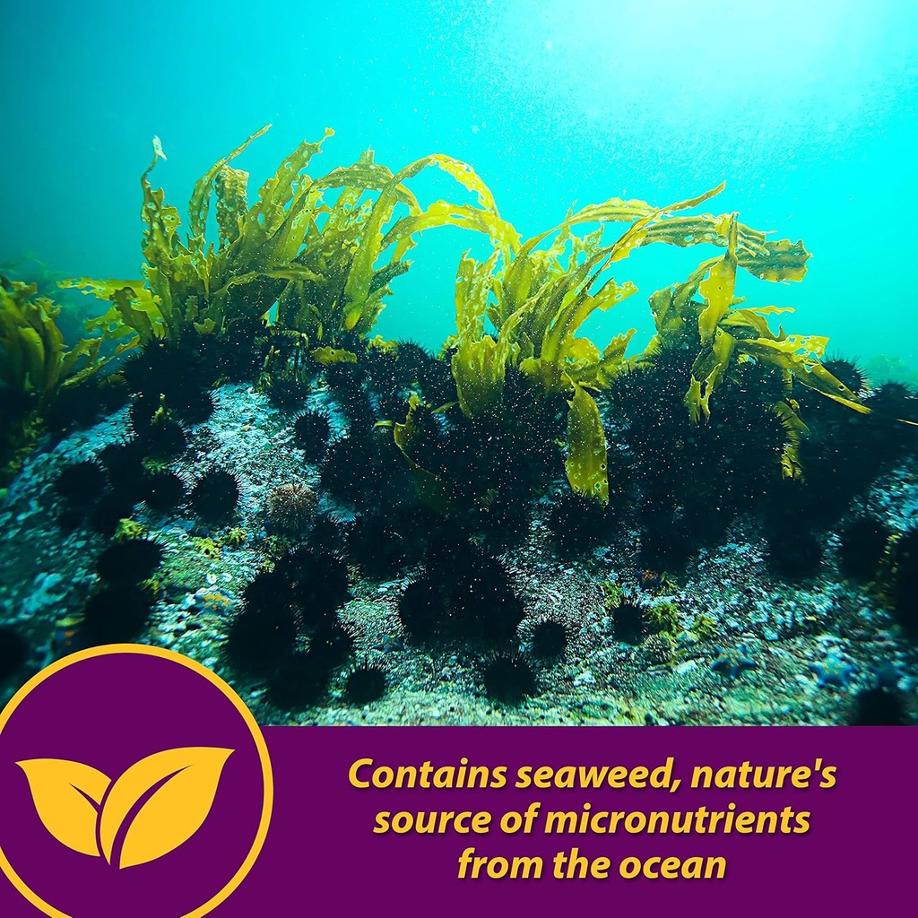 horse-health-maxum-crumbles-concentrated-4.jpg