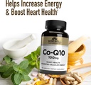 windmill-windmill-coenzyme-co-q10-100-mg-4.jpg