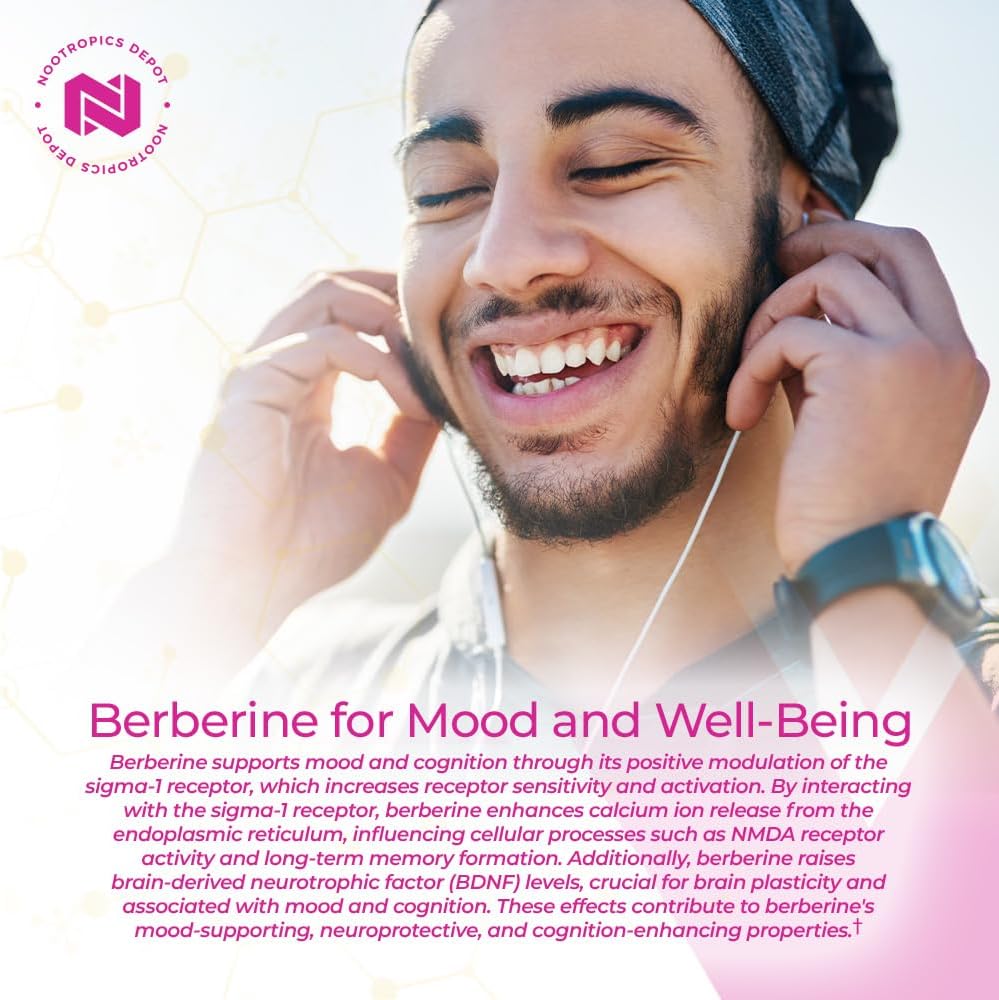 nootropics-depot-berberine-hcl-silymarin-6.jpg