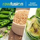 rawfusion--vegan-protein-powder-vanilla--6.jpg