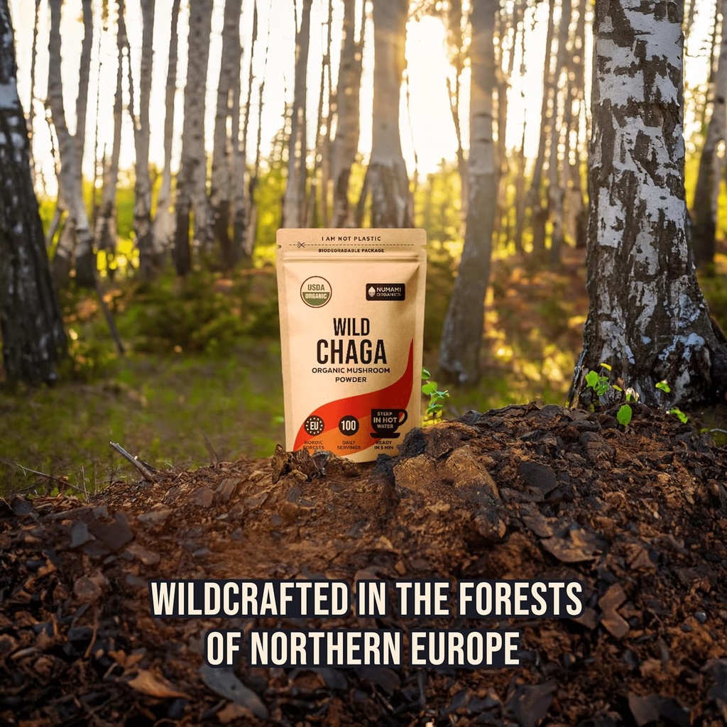 organic-chaga-mushrooms-powder---fine-po-5.jpg