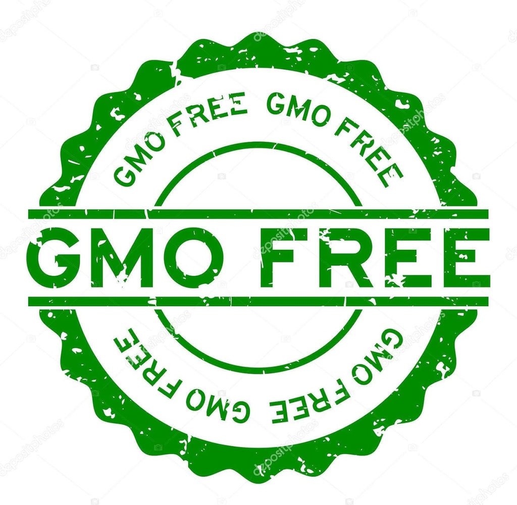 chia-seeds-gluten-free---chia-seed---chi-6.jpg