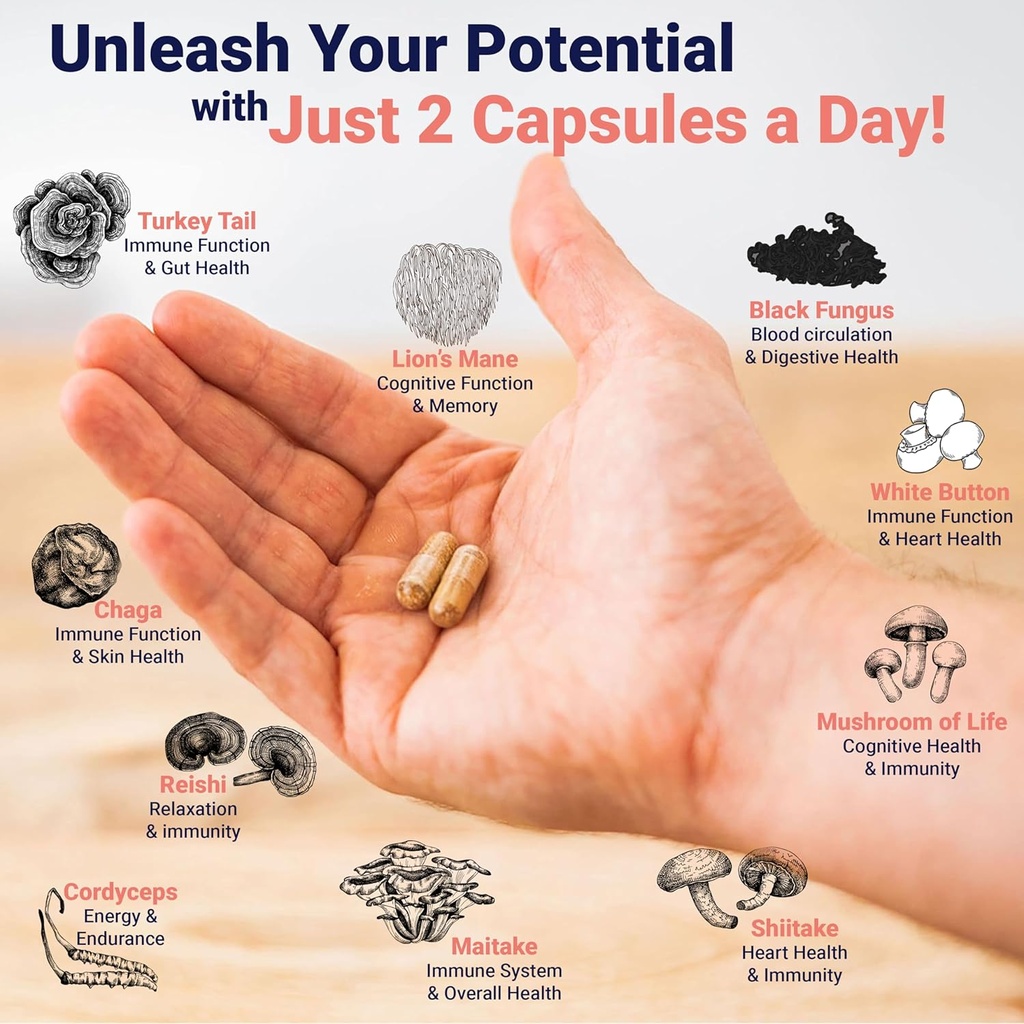 premium-mushroom-complex-capsules---lion-5.jpg