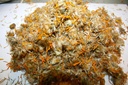 organic-bio-herbs-organic-dried-arnica-m-2.jpg
