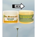 muscular-gel-with-chamomile-and-ocote-pi-5.jpg