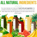 7-day-protein-juice-cleanse-by-raw-fount-5.jpg