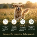 turkey-tail-mushroom-powder-for-dogs-ult-4.jpg
