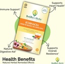 premium-echinacea-tea-with-zinc-pack-of--3.jpg