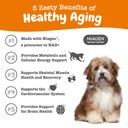 zesty-paws-nad-precursor-supplement-for--3.jpg