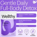 wellthy-full-body-detox-and-immune-suppo-2.jpg