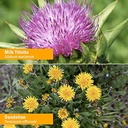 herb-pharm-liver-health-herbal-formula-f-6.jpg