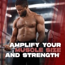 alpha-lion-creatine-monohydrate-powder-5-5.jpg