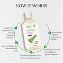 aloecure-organic-aloe-vera-digestion-set-5.jpg