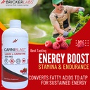 bricker-labs-carniblast-liquid-l-carniti-3.jpg