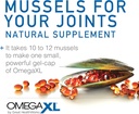 omegaxl-joint-support-supplement-for-rel-5.jpg