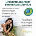 liposomal-glutathione-2000-mg-10x-better-3.jpg