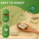size-3-gelatin-empty-capsules-100-count--5.jpg