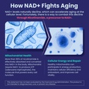 2-pack-nicotinamide-500mg-gummies-nad-su-5.jpg