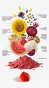 bde-wildcrafted-sea-moss-gummy-maca-root-2.jpg