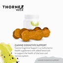 thornevet-canine-cognitive-support-soft--3.jpg