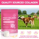 multi-collagen-peptides-powder-types-i-i-6.jpg
