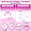 zebora-collagen-peptides-powder-50-servi-6.jpg