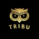 tribu-mushrooms-nightcap-mushroom-chocol-6.jpg