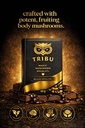 tribu-mushrooms-nightcap-mushroom-chocol-5.jpg