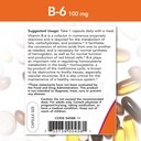 now-vitamin-b-6-100mg250-capsules-pack-o-3.jpg