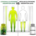 supplements-studio-liposomal-glutathione-3.jpg