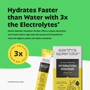 earth-s-splendor-electrolytes-powder-pac-3.jpg
