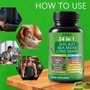 soursop-capsules-with-24-in-1-herbal-ble-4.jpg
