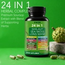 soursop-capsules-with-24-in-1-herbal-ble-6.jpg
