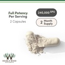 serrapeptase-240-000-spu-max-potency-120-3.jpg