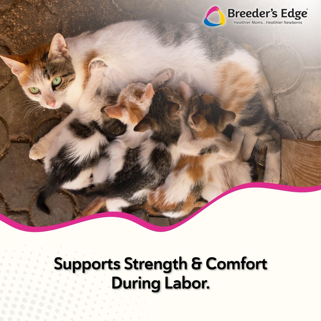 breeder-s-edge-oral-cal-plus-gel-whelpin-2.jpg