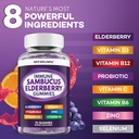 elderberry-gummies-immune-support-daily--2.jpg