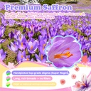 saffron-gummies-for-kids-adults-calm-foc-5.jpg