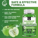 2-pack-soursop-graviola-gummies-2200mg-e-6.jpg