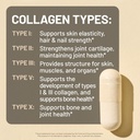 naturewise-1-multi-collagen-peptides-pil-4.jpg