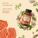 four-sigmatic-focus-capsules-lion-s-mane-6.jpg