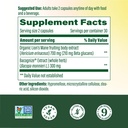 megafood-superfood-mushroom-focus-suppor-2.jpg