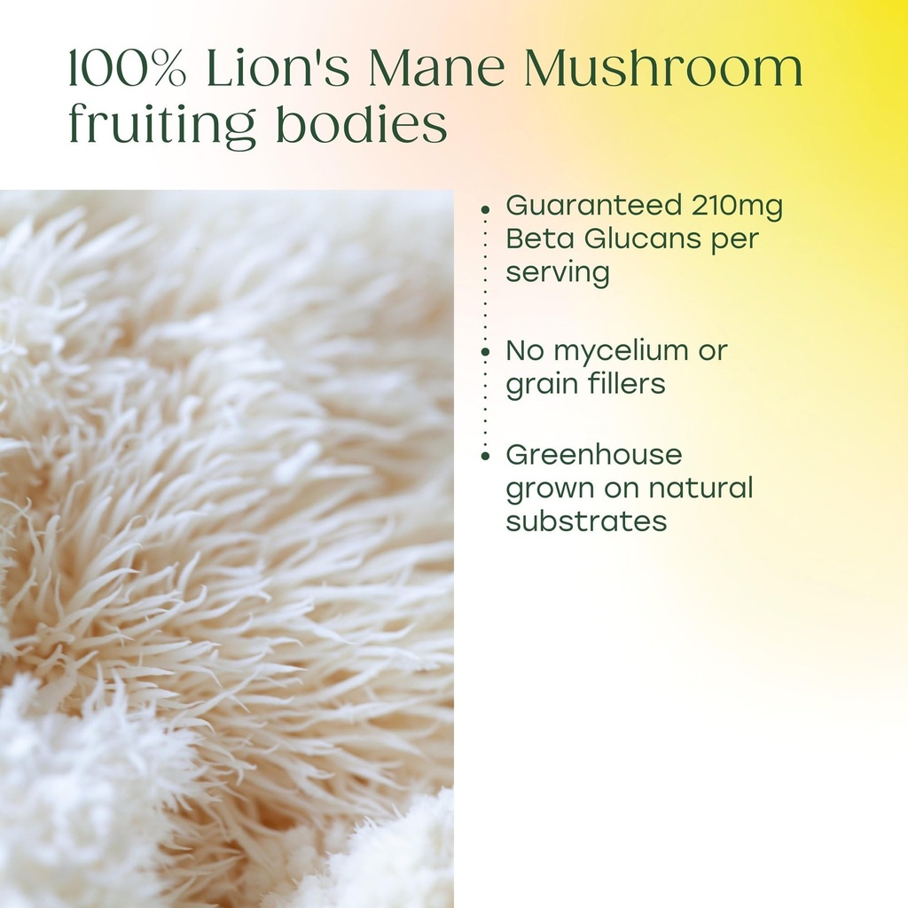 megafood-superfood-mushroom-focus-suppor-4.jpg